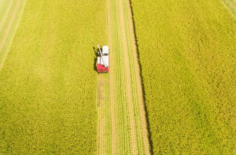 福鼎舉辦農業(yè)“五新”（農機新機具）示范推廣培訓會