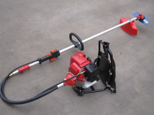 甘州在线——张掖市权威新闻门户网站