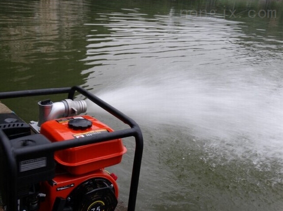 rf-4 铜梁县抗旱水泵抽水机 水泵抽水机 排涝水泵