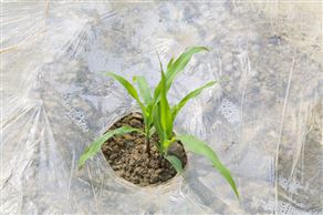 2023年残膜回收机补贴销售情况及10大品牌销量与价格