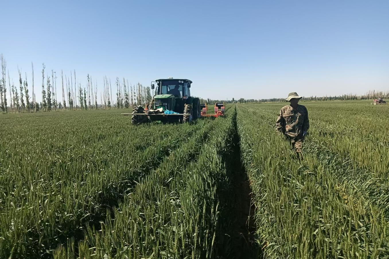 新疆和硕县：农机补贴精准发力 智慧农机赋能 和硕农业提质增效