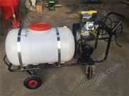 超長(zhǎng)拉管?chē)婌F器 大容量打藥噴霧器 園林動(dòng)力打藥機(jī) 微量噴霧器噴頭
