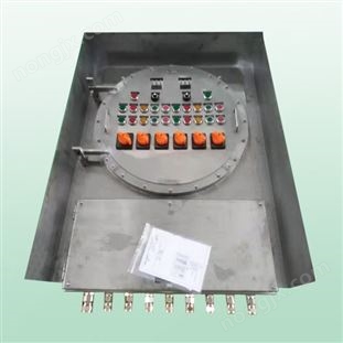 BX(Q)系列不銹鋼防爆電磁配電箱帶防護(hù)罩